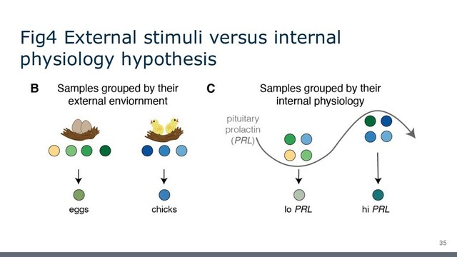 Fig4 External stimuli versus internal
physiology hypothesis
35
