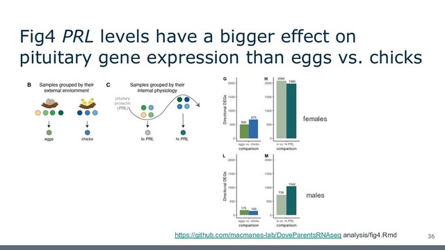 36
https://github.com/macmanes-lab/DoveParentsRNAseq analysis/fig4.Rmd
Fig4 PRL levels have a bigger effect on
pituitary gene expression than eggs vs. chicks
females
males
