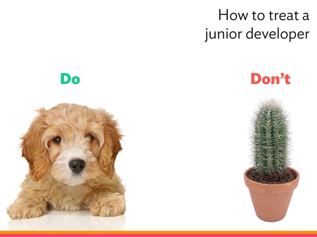Do Don’t
How to treat a
junior developer

