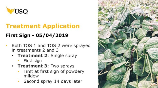 Treatment Application
First Sign - 05/04/2019
• Both TOS 1 and TOS 2 were sprayed
in treatments 2 and 3
• Treatment 2: Single spray
• First sign
• Treatment 3: Two sprays
• First at first sign of powdery
mildew
• Second spray 14 days later
