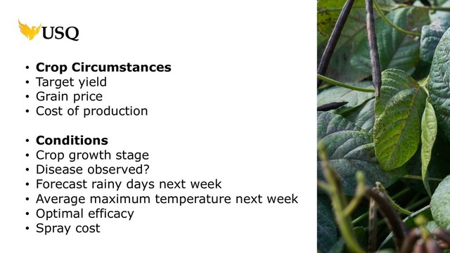 • Crop Circumstances
• Target yield
• Grain price
• Cost of production
• Conditions
• Crop growth stage
• Disease observed?
• Forecast rainy days next week
• Average maximum temperature next week
• Optimal efficacy
• Spray cost
