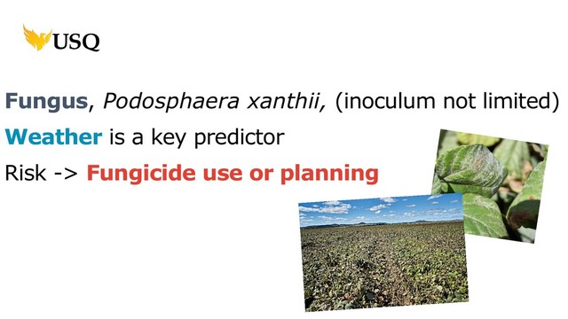 Fungus, Podosphaera xanthii, (inoculum not limited)
Weather is a key predictor
Risk -> Fungicide use or planning
