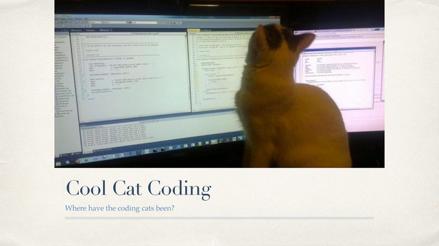 Cool Cat Coding
Where have the coding cats been?
