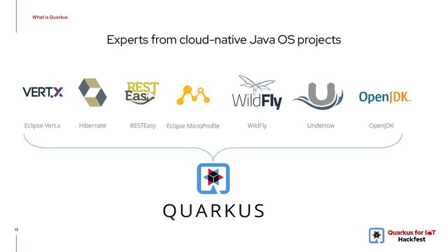 Experts from cloud-native Java OS projects
13
Eclipse Vert.x Hibernate Eclipse MicroProﬁle
RESTEasy WildFly Undertow OpenJDK
What is Quarkus
