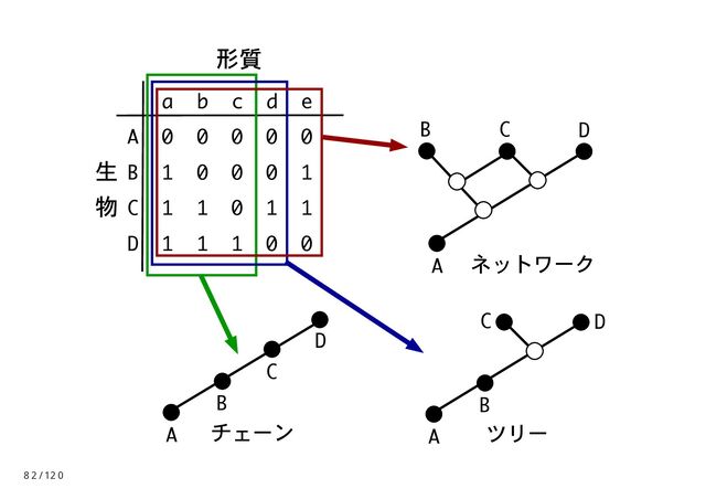a b c d e
A 0 0 0 0 0
B 1 0 0 0 1
C 1 1 0 1 1
D 1 1 1 0 0
形質
生
物
A
B
C
D
A
B
C
チェーン ツリー
ネットワーク
D
A
B C D
