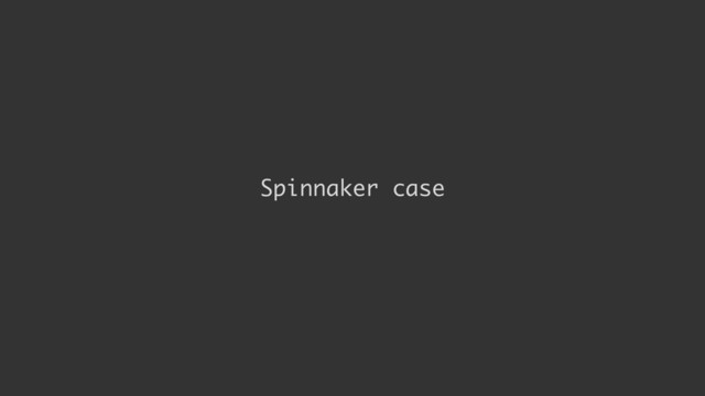 Spinnaker case
