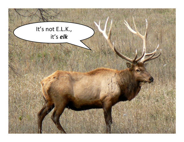 It’s	  not	  E.L.K.,	  	  
	  	  	  	  	  	  	  it’s	  elk	  
