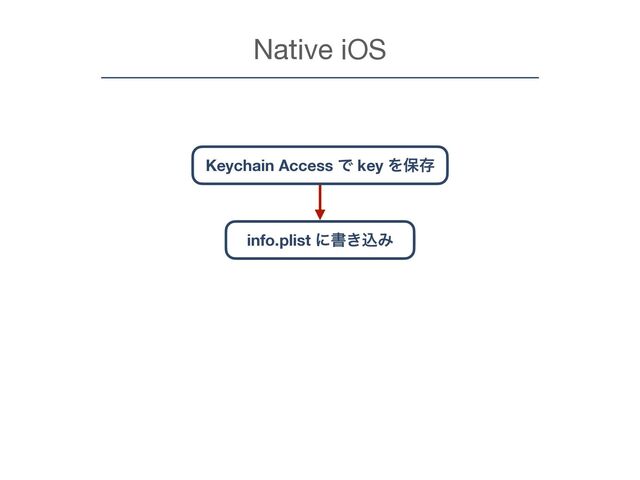 Native iOS
Keychain Access Ͱ key Λอଘ
info.plist ʹॻ͖ࠐΈ
