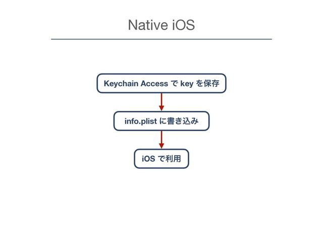 Native iOS
Keychain Access Ͱ key Λอଘ
info.plist ʹॻ͖ࠐΈ
iOS Ͱར༻
