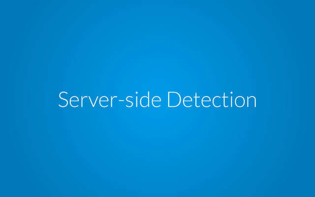 Server-side Detection
