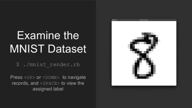 $ ./mnist_render.rb
Press  or  to navigate
records, and  to view the
assigned label
Examine the
MNIST Dataset
