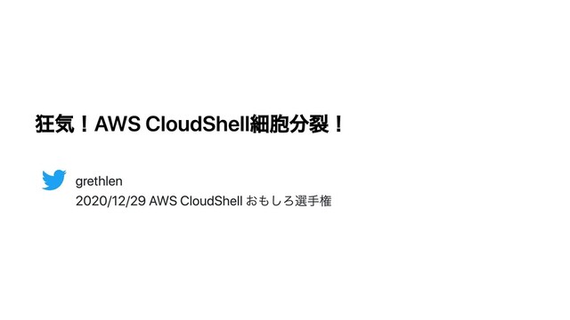 狂気！AWS CloudShell細胞分裂！
grethlen
2020/12/29 AWS CloudShell おもしろ選⼿権
