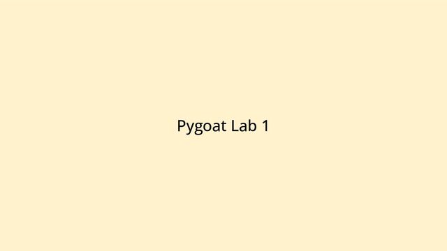 Pygoat Lab 1
