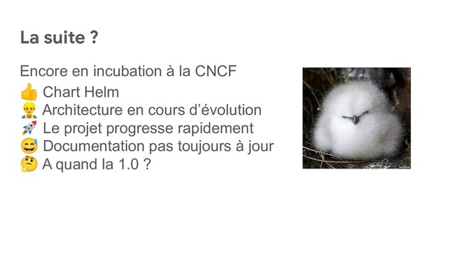 La suite ?
Encore en incubation à la CNCF
👍 Chart Helm
󰠻 Architecture en cours d’évolution
🚀 Le projet progresse rapidement
😅 Documentation pas toujours à jour
🤔 A quand la 1.0 ?
