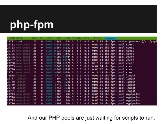 php-fpm
And our PHP pools are just waiting for scripts to run.
