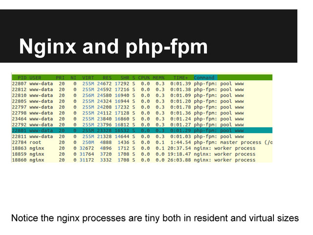 Nginx and php-fpm
Notice the nginx processes are tiny both in resident and virtual sizes
