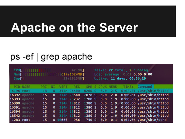 Apache on the Server
ps -ef | grep apache
