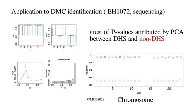 WMCB2022
Application to DMC identification ( EH1072, sequencing)
t test of P-values attributed by PCA
between DHS and non-DHS
Chromosome
