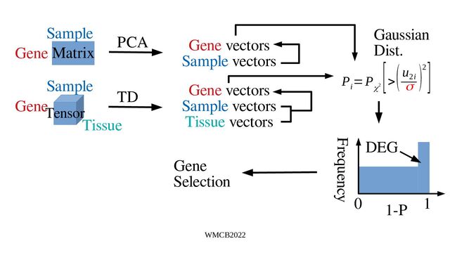 WMCB2022
Matrix
Tensor
PCA
TD
Gene vectors
Sample vectors
Gene vectors
Sample vectors
Tissue vectors
Gene
Sample
Gene
Sample
Tissue
P
i
=P
χ2
[>
(u
2i
σ
)2]
Gaussian
Dist.
Frequency
0 1
1-P
DEG
Gene
Selection
