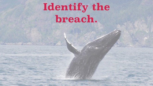 Identify the
breach.
