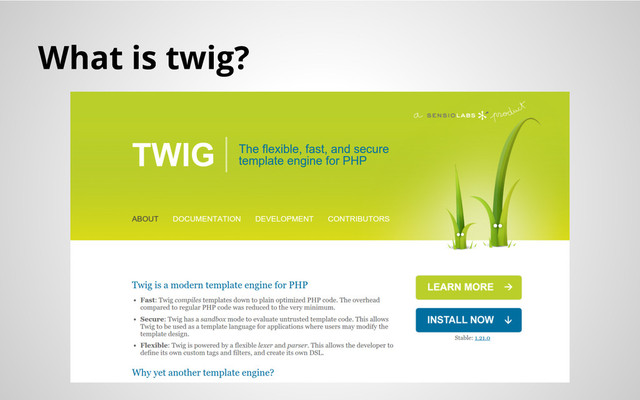 What is twig?
