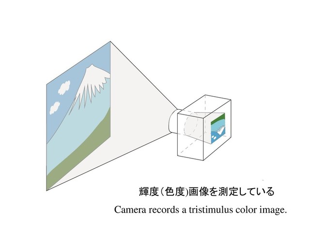 輝度（色度)画像を測定している
Camera records a tristimulus color image.
