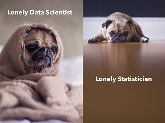 Lonely Statistician
Lonely Data Scientist
