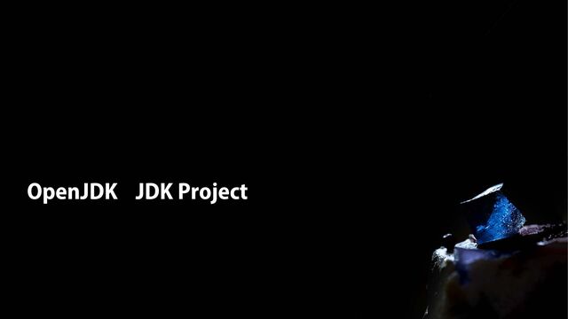 OpenJDK JDK Project
