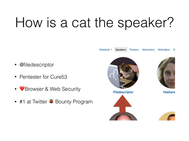 How is a cat the speaker?
• @ﬁledescriptor
• Pentester for Cure53
• ❤Browser & Web Security
• #1 at Twitter " Bounty Program
??
