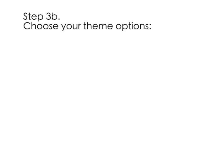 Step 3b.
Choose your theme options:
