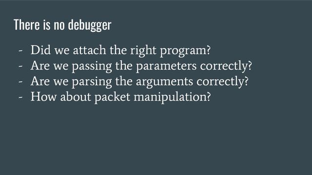 There is no debugger
- Did we attach the right program?
- Are we passing the parameters correctly?
- Are we parsing the arguments correctly?
- How about packet manipulation?
