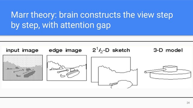 Marr theory: brain constructs the view step
by step, with attention gap
24
