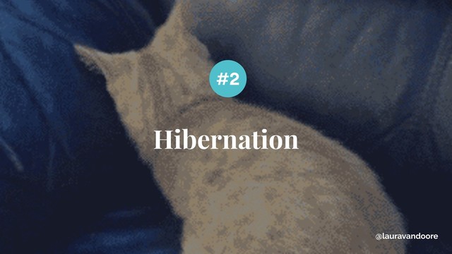 Hibernation
#2
@lauravandoore
