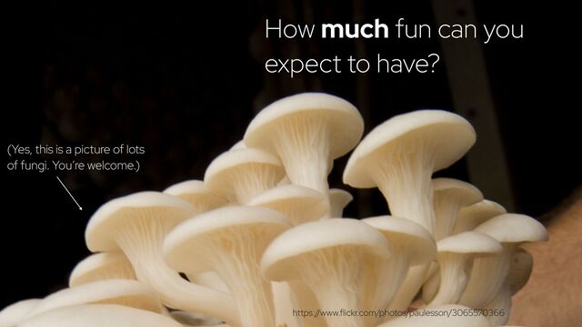 @holly_cummins #RedHat
How much fun can you
expect to have?
(Yes, this is a picture of lots
of fungi. You’re welcome.)
https:/
/www.flickr.com/photos/paulesson/3065570366
