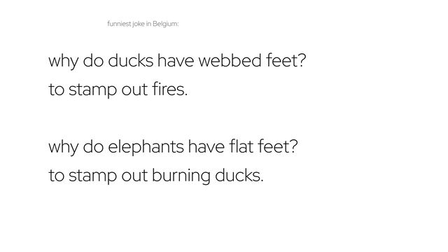 why do ducks have webbed feet?
to stamp out fires.
why do elephants have flat feet?
to stamp out burning ducks.
funniest joke in Belgium:
