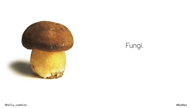 @holly_cummins #RedHat
Fungi.
