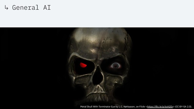 ↳ General AI
Metal Skull With Terminator Eye by L.C. Nøttaasen, on Flickr  (CC BY-SA 2.0).
