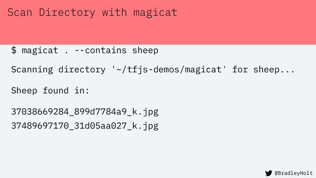 Scan Directory with magicat
$ magicat . --contains sheep
Scanning directory '~/tfjs-demos/magicat' for sheep...
Sheep found in:
37038669284_899d7784a9_k.jpg
37489697170_31d05aa027_k.jpg
@BradleyHolt

