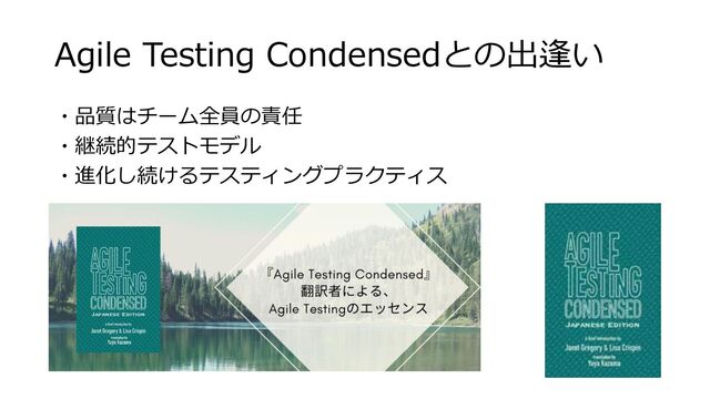 Agile Testing Condensedとの出逢い
・品質はチーム全員の責任
・継続的テストモデル
・進化し続けるテスティングプラクティス
