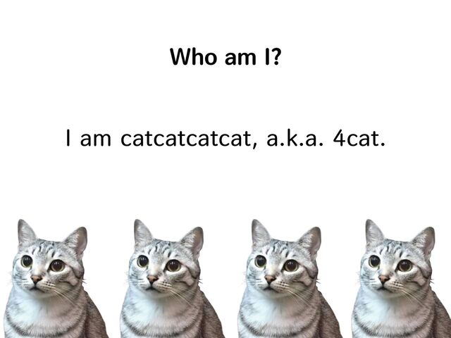 Who am I?
I am catcatcatcat, a.k.a. 4cat.
