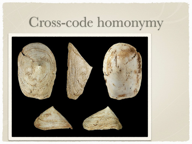 Cross-code homonymy

