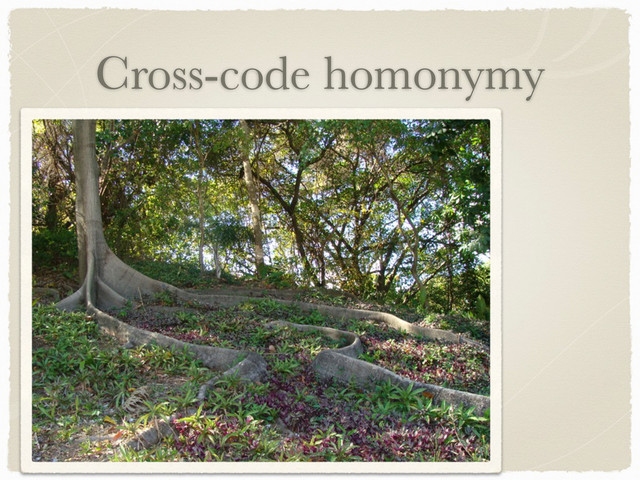 Cross-code homonymy
