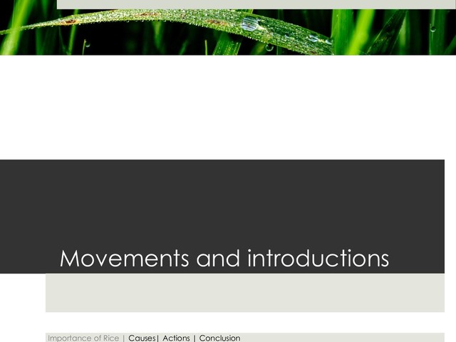 Movements and introductions
Importance of Rice | Causes| Actions | Conclusion
