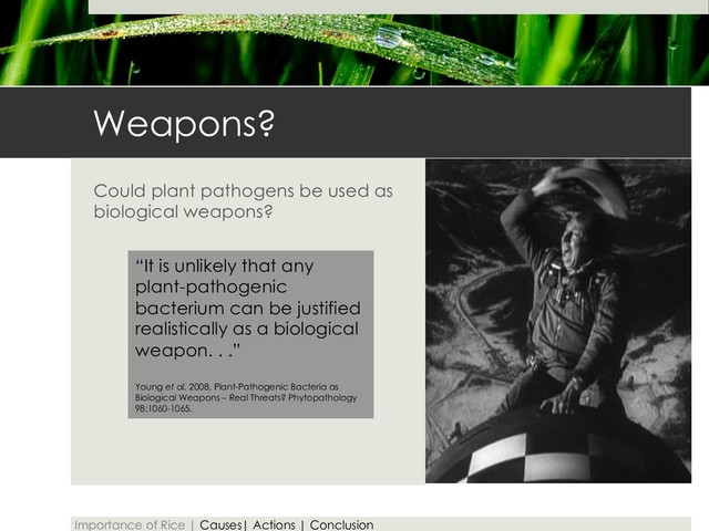 Weapons?
Could plant pathogens be used as
biological weapons?
“It is unlikely that any
plant-pathogenic
bacterium can be justified
realistically as a biological
weapon. . .”
Young et al. 2008. Plant-Pathogenic Bacteria as
Biological Weapons – Real Threats? Phytopathology
98:1060-1065.
Importance of Rice | Causes| Actions | Conclusion
