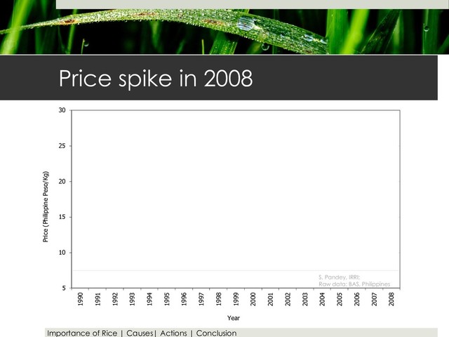Price spike in 2008
Importance of Rice | Causes| Actions | Conclusion
5
10
15
20
25
30
1990
1991
1992
1993
1994
1995
1996
1997
1998
1999
2000
2001
2002
2003
2004
2005
2006
2007
2008
Price (Philippine Peso/Kg)
Year
S. Pandey, IRRI;
Raw data: BAS, Philippines
