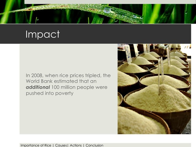Impact
In 2008, when rice prices tripled, the
World Bank estimated that an
additional 100 million people were
pushed into poverty
Importance of Rice | Causes| Actions | Conclusion
