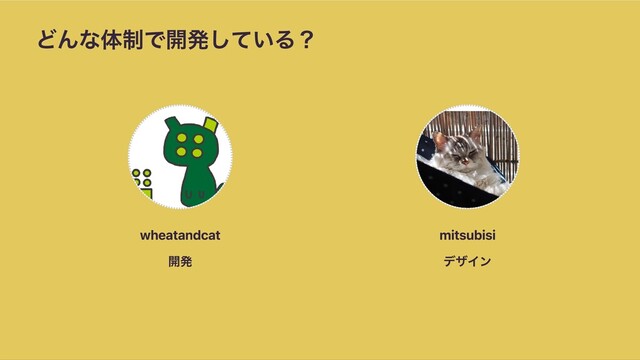 どんな体制で開発している？
wheatandcat
開発
mitsubisi
デザイン

