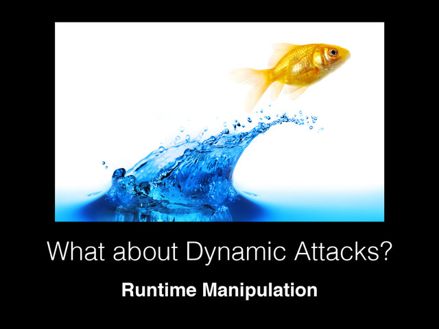 What about Dynamic Attacks?
Runtime Manipulation
