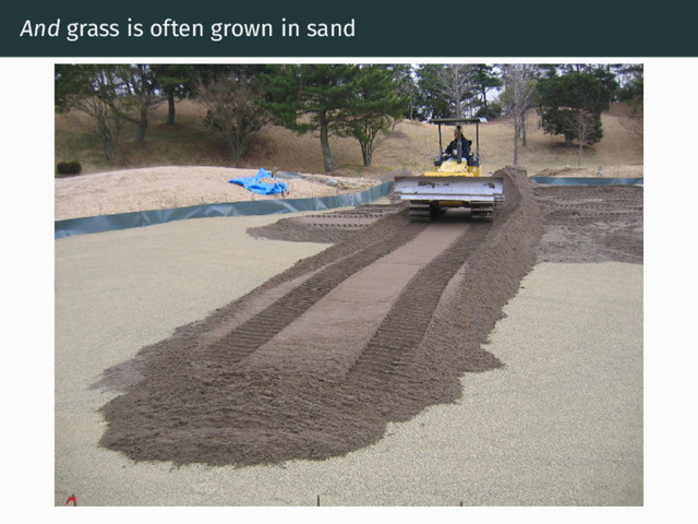 And grass is often grown in sand
