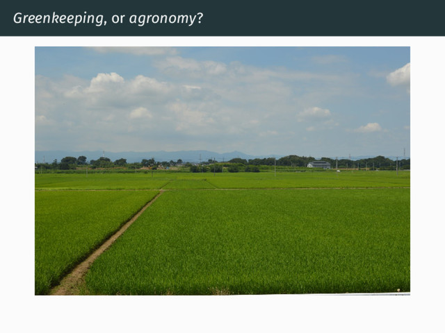Greenkeeping, or agronomy?
